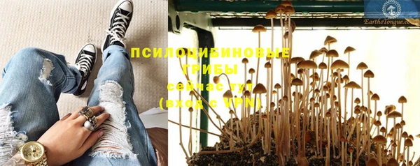 мескалин Алексин