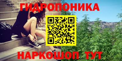 бошки Рязань