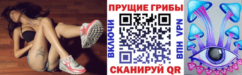 где купить   Петрозаводск  Галлюциногенные грибы Psilocybe 