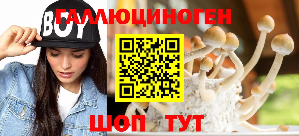 Петрозаводск  Галлюциногенные грибы Cubensis  Вход с VPN 