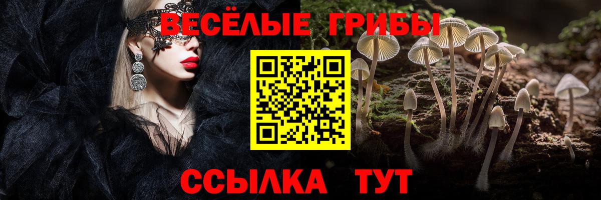Галлюциногенные грибы Magic Shrooms Петрозаводск